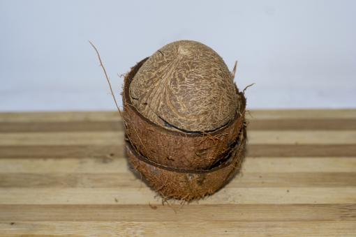 Free Stock Photo of Dried Coconut