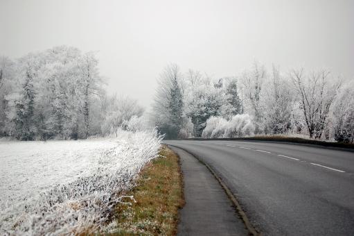 Free Stock Photo of The Road to the Frozen Forest