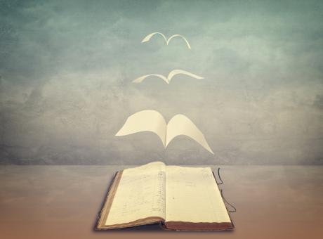 Free Stock Photo of Pages Flying Out of Old Book - Wisdom - Freedom in Knowledge