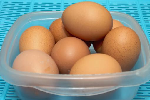 Free Stock Photo of Eggs In a Bowl