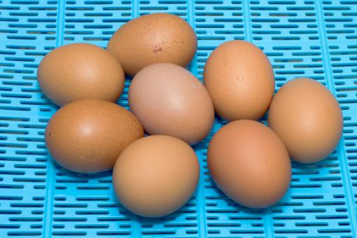 Free Stock Photo of Some Eggs on Blue Surface