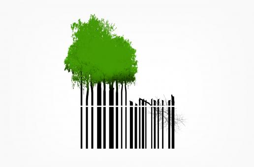 Free Stock Photo of Destruction of Natural Resources - Trees and Bar Code