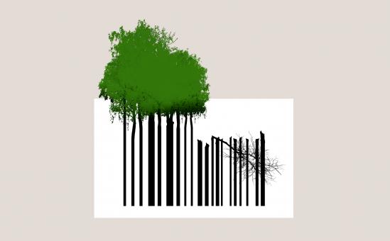 Free Stock Photo of Overconsumption of Natural Resources - Trees and Bar Code