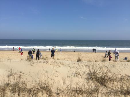 Free Stock Photo of People on the Beach