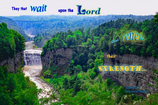Free Stock Photo of The Lord Renews Strength