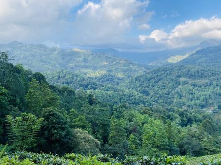 Free Stock Photo of Green Mountain Landscape
