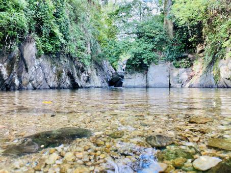 Free Stock Photo of Natural Pond