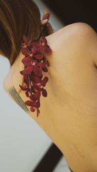 Free Stock Photo of A woman holding a flower over back