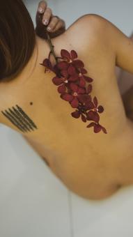 Free Stock Photo of Girl holding a flower over backside