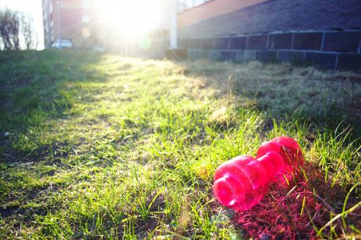 Free Stock Photo of Pink dumbbell on green grass