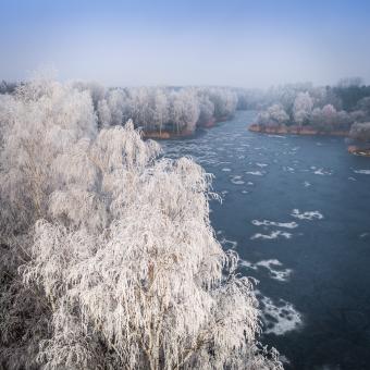 Free Stock Photo of Aerial view of the winter background with a snow-covered forest