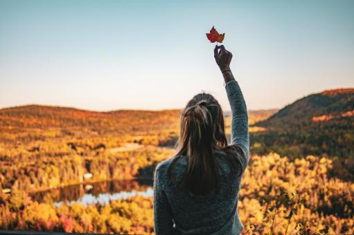 Free Stock Photo of Girl Holding a Leaf - Back View - Autumn