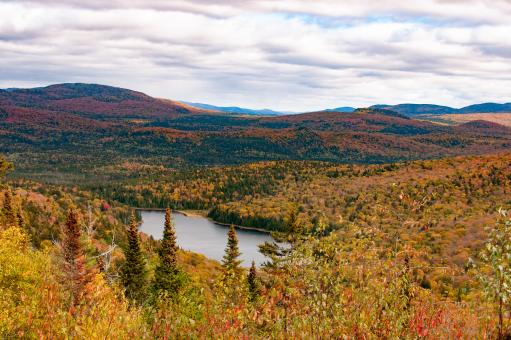 Free Stock Photo of Autumn Colors and Landscape