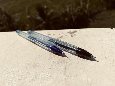 Free Stock Photo of Two pen passing time in sun bathing