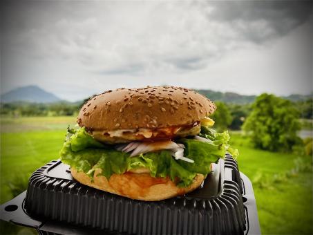 Free Stock Photo of Srilankan Cheese Burger Is very tasty