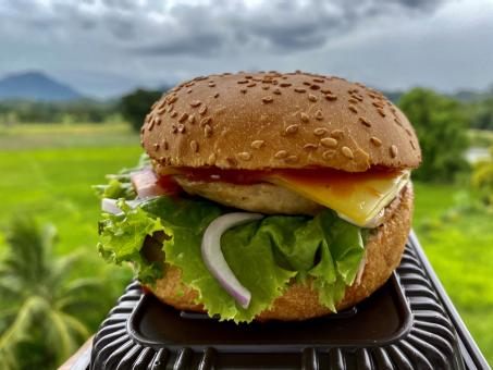 Free Stock Photo of Sri Lankan Cheeseburger in a Natural Setting