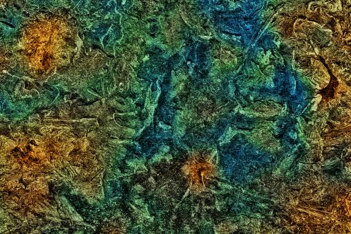 Free Stock Photo of Abstract Marsh Grunge