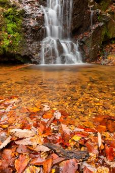 Free Stock Photo of Autumn Cascade Falls