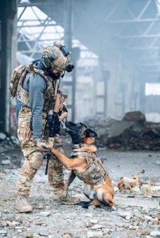 Free Stock Photo of An Army Soldier and a Dog