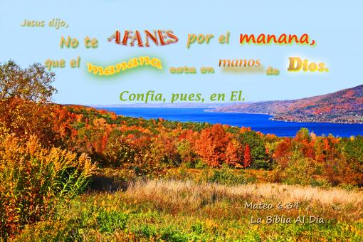 Free Stock Photo of Afanes por el Manana