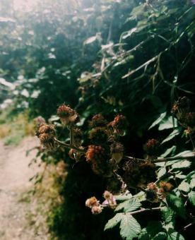 Free Stock Photo of The beauty of the Moroccan nature