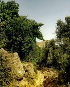 Free Stock Photo of The beauty of the Morocco nature