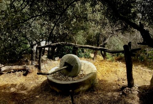 Free Stock Photo of Ancient mill for extracting traditional olive oil