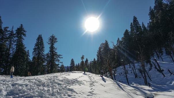 Free Stock Photo of Majestic Sunshine