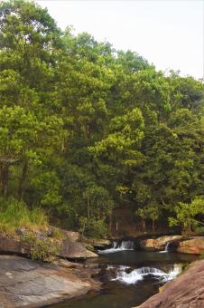 Free Stock Photo of Tropical falls