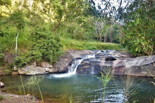 Free Stock Photo of Forest river and falls
