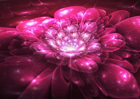 Free Stock Photo of Pink Flower Fractal Background