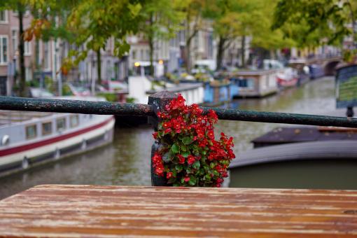 Free Stock Photo of Red flowers on the bridge railing