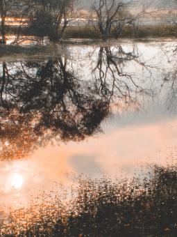 Free Stock Photo of Morning sun with water reflection in a golden pond