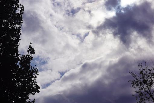 Free Stock Photo of Cloudy sky and trees