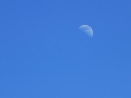 Free Stock Photo of Moon in Blue Sky
