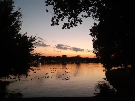 Free Stock Photo of Lafierna Park Sunset