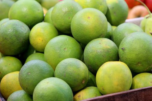 Free Stock Photo of Lime Fruits at the Market