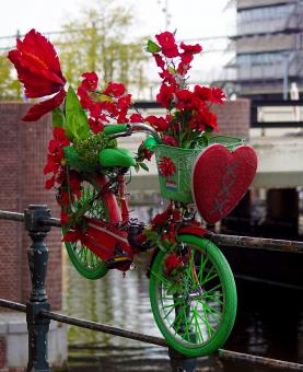 Free Stock Photo of Bike Decoration