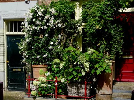 Free Stock Photo of Flower facade garden