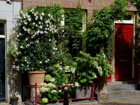 Free Stock Photo of Building Flower Facade