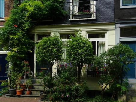 Free Stock Photo of Tree Facade - Building Front