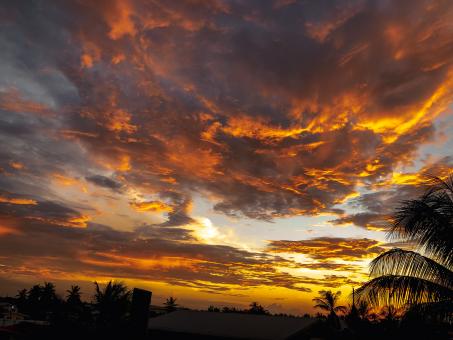 Free Stock Photo of Tropical Sunset