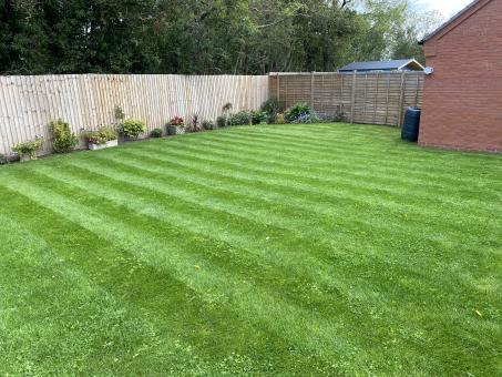 Free Stock Photo of Green Lawn