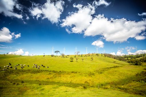 Free Stock Photo of Wind turbines at Ambewela Sri Lanka
