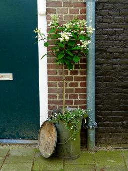 Free Stock Photo of Flowers in a Bin