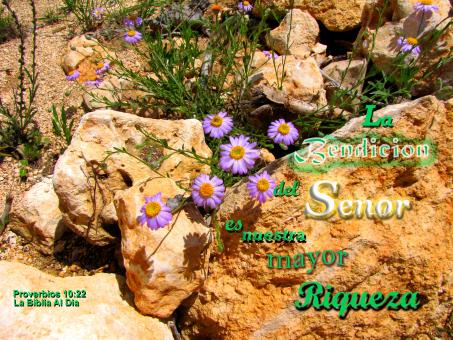 Free Stock Photo of La Bendicion del Senor