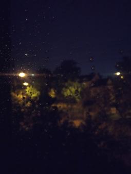Free Stock Photo of Favorite Rain