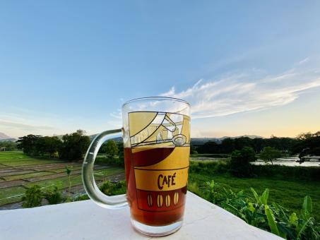 Free Stock Photo of A Teacup in a Natural Background