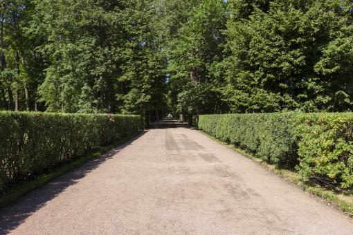 Free Stock Photo of  Walking Path in Garden
