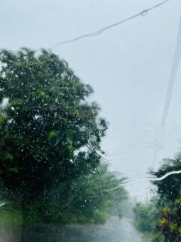Free Stock Photo of A simple art image captured in the Cam